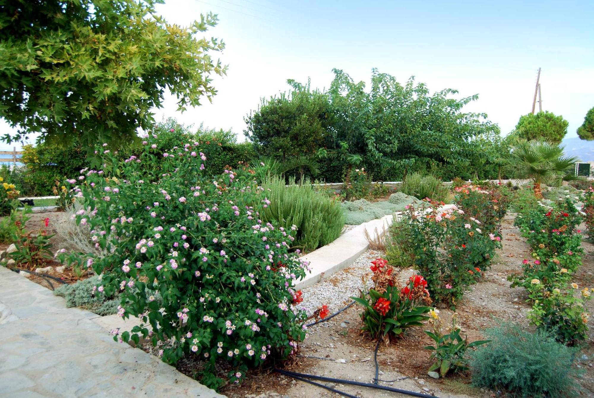 Villa Akrata Exterior photo